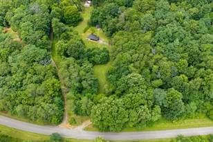 1824 Colwell Rd, Blue Ridge, GA 30513 - Photo 49