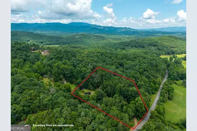 1824 Colwell Road, Blue Ridge, GA 30513 - Photo 47