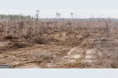 0 Bunn Store Road #TRACT 2, Midville, GA 30441 - Photo 9
