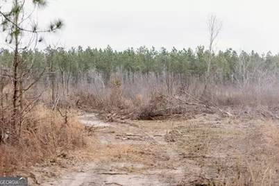 0 Bunn Store Road #TRACT 2, Midville, GA 30441 - Photo 13