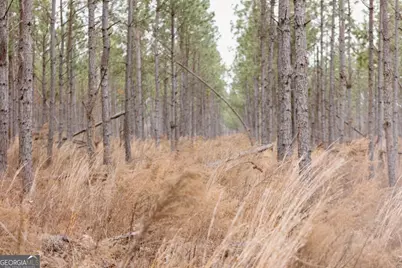 0 Bunn Store Road #TRACT 2, Midville, GA 30441 - Photo 3