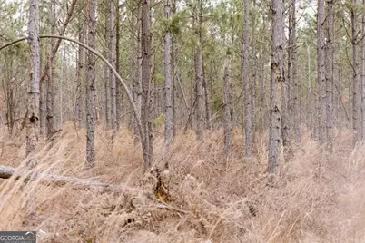 0 Bunn Store Road #TRACT 2, Midville, GA 30441 - Photo 15