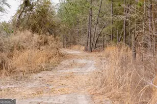 0 Bunn Store Rd, Midville, GA 30441 - Photo 1
