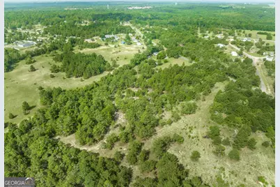 0 Georgia Road, Butler, GA 31006 - Photo 7