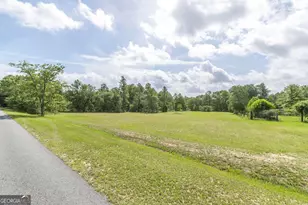 0 Georgia Rd, Butler, GA 31006 - Photo 1