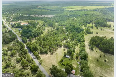 0 Georgia Road, Butler, GA 31006 - Photo 3