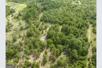 0 Georgia Road, Butler, GA 31006 - Photo 5