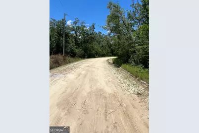 0 Butler Johnson Road, White Oak, GA 31568 - Photo 31