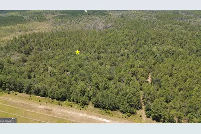 0 Butler Johnson Road, White Oak, GA 31568 - Photo 13
