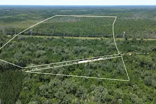 0 Butler Johnson Rd, White Oak, GA 31568 - Photo 1