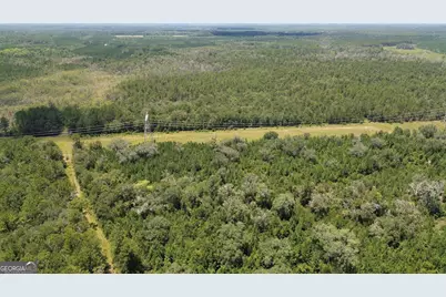 0 Butler Johnson Road, White Oak, GA 31568 - Photo 21