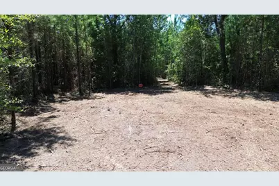 0 Butler Johnson Road, White Oak, GA 31568 - Photo 25