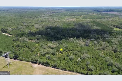 0 Butler Johnson Road, White Oak, GA 31568 - Photo 9