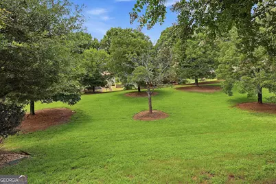 38 The Crescent, Newnan, GA 30263 - Photo 41