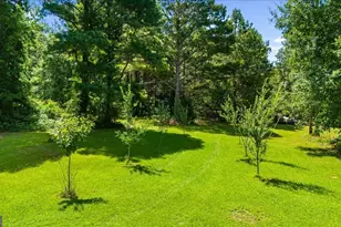 162 Deer Creek Trail, Moreland, GA 30259 - Photo 41