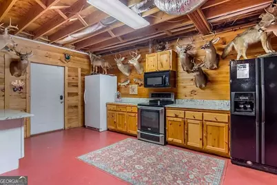 233 Ivy Ridge, Ellijay, GA 30536 - Photo 9