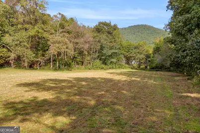 0 Turner Road, Cleveland, GA 30528 - Photo 7