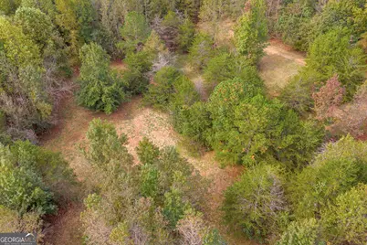 0 Turner Road, Cleveland, GA 30528 - Photo 17