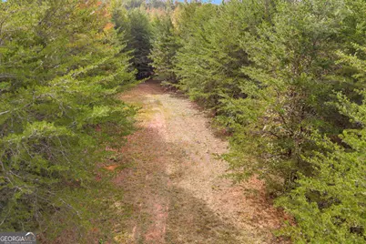 0 Turner Road, Cleveland, GA 30528 - Photo 15