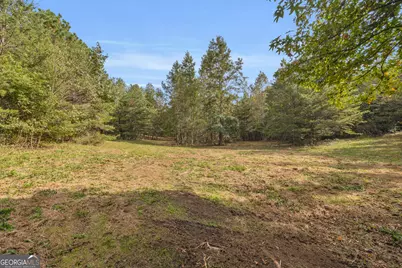 Tr 5 Turner Road, Cleveland, GA 30528 - Photo 13