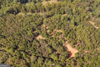Tr 5 Turner Road, Cleveland, GA 30528 - Photo 7