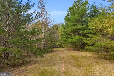 Tr 6 Turner Road, Cleveland, GA 30528 - Photo 3