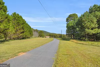 Tr 6 Turner Road, Cleveland, GA 30528 - Photo 9
