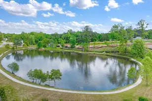 260 Coastal Dr, Statham, GA 30666 - Photo 29