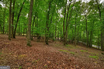 101 W D Court, Ellijay, GA 30540 - Photo 51