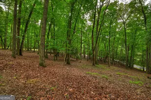 101 W D Ct, Ellijay, GA 30540 - Photo 51