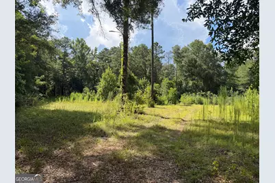 725 James Currie Road, Dublin, GA 31021 - Photo 37