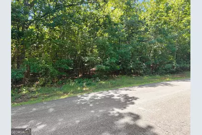 0 Hwy 255, Cleveland, GA 30528 - Photo 3