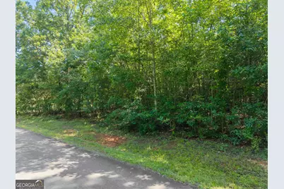 0 Hwy 255, Cleveland, GA 30528 - Photo 5