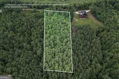 Lot 82 Thirteen Hundred, Blairsville, GA 30512 - Photo 1