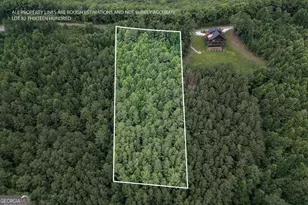 Lot 82 Thirteen Hundred, Blairsville, GA 30512 - Photo 1