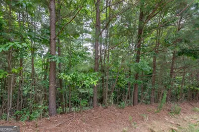 Lot 82 Thirteen Hundred, Blairsville, GA 30512 - Photo 5