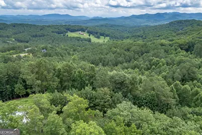 Lot 82 Thirteen Hundred, Blairsville, GA 30512 - Photo 9