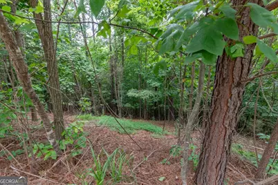 Lot 82 Thirteen Hundred, Blairsville, GA 30512 - Photo 7