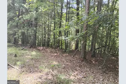 0 Crystal Lane #3284, Ellijay, GA 30540 - Photo 3