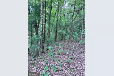 829 Morton Drive, Ellijay, GA 30540 - Photo 3