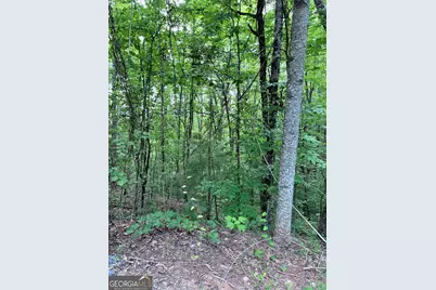 829 Morton Drive, Ellijay, GA 30540 - Photo 5