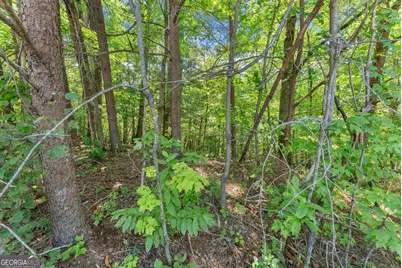 0 Hwy 384, Cleveland, GA 30528 - Photo 11