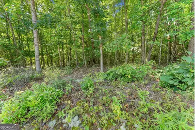 0 Hwy 384, Cleveland, GA 30528 - Photo 37