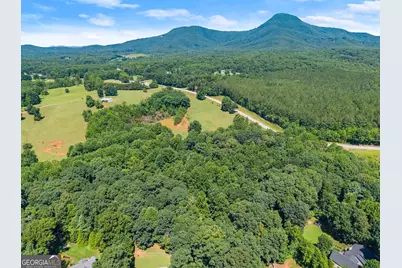 0 Hwy 384, Cleveland, GA 30528 - Photo 31