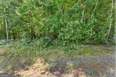 0 Hwy 384, Cleveland, GA 30528 - Photo 35