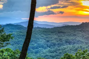 Lot 2 Aubery Ridge, Morganton, GA 30560 - Photo 57