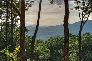 Lot 2 Aubery Ridge, Morganton, GA 30560 - Photo 49