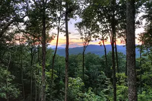 Lot 2 Aubery Ridge, Morganton, GA 30560 - Photo 31