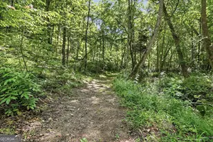 527 Jim Carter Rd, Clarkesville, GA 30523 - Photo 33