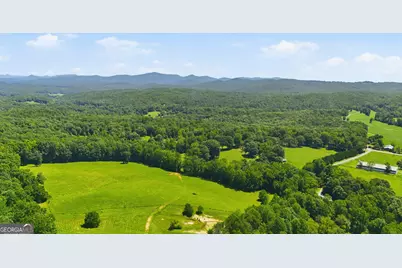 527 Jim Carter Road, Clarkesville, GA 30523 - Photo 41